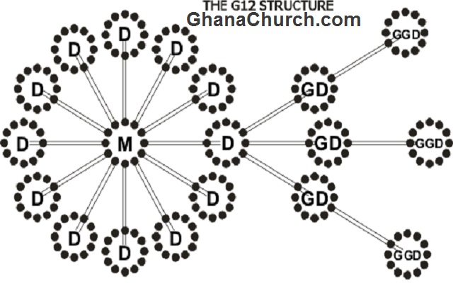The Groups of 12 Structure (G12)